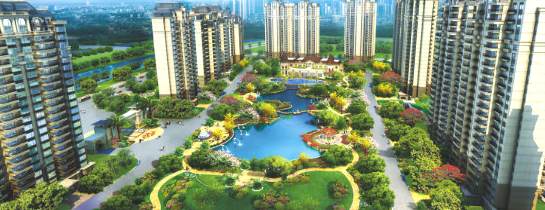 園林綠化的種植型類及養(yǎng)護(hù)措施